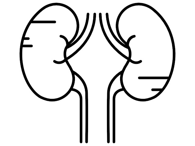 Services of Pranav Hospital Salem